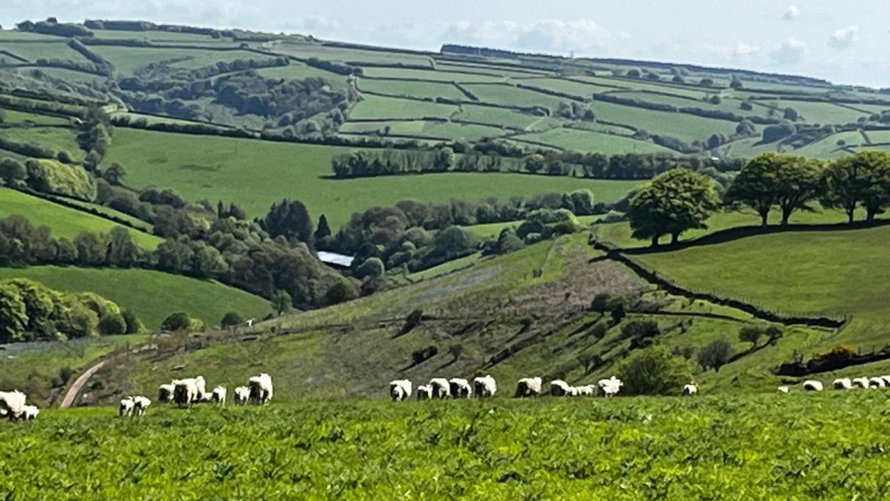 Exmoor Retreat On Two Moors Way Withypool Zewnętrze zdjęcie