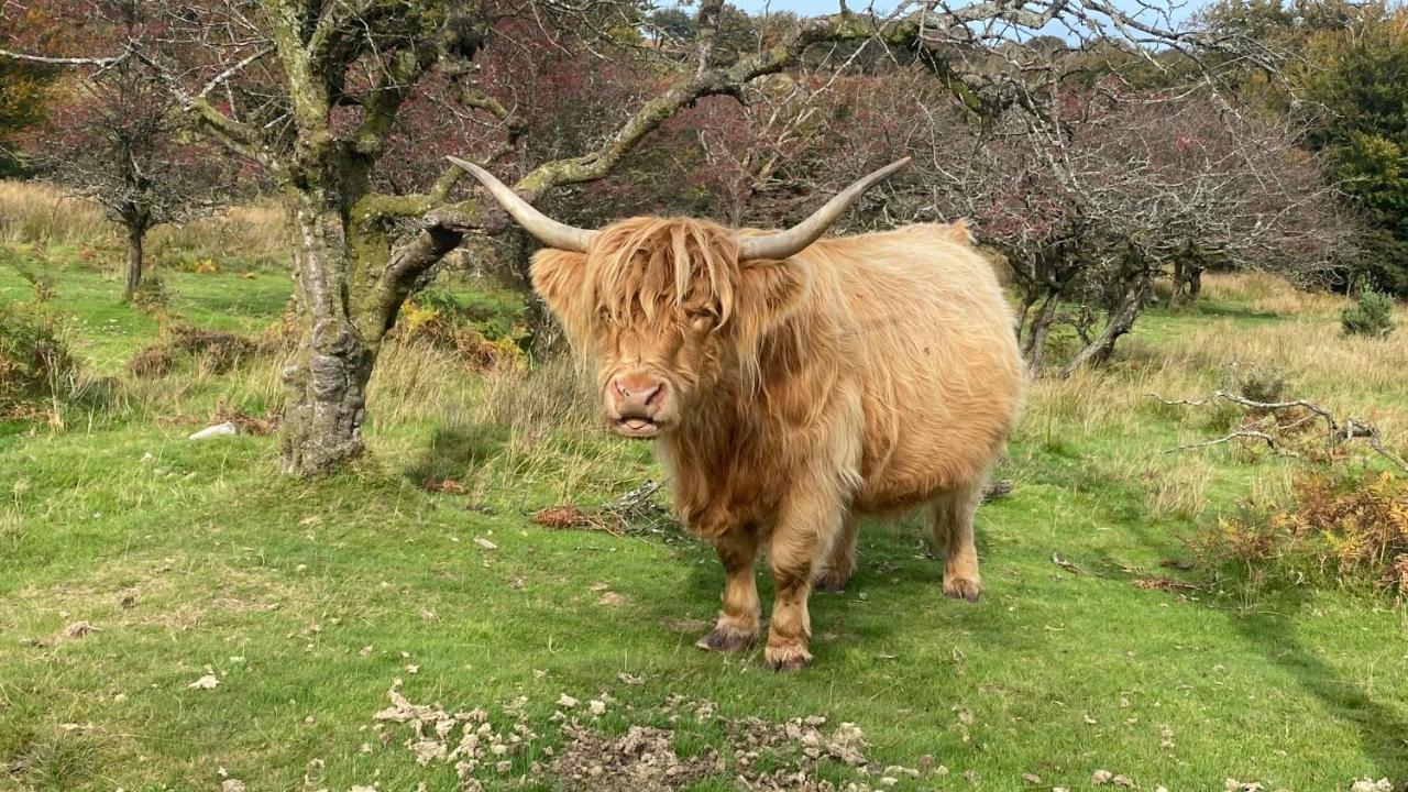 Exmoor Retreat On Two Moors Way Withypool Zewnętrze zdjęcie