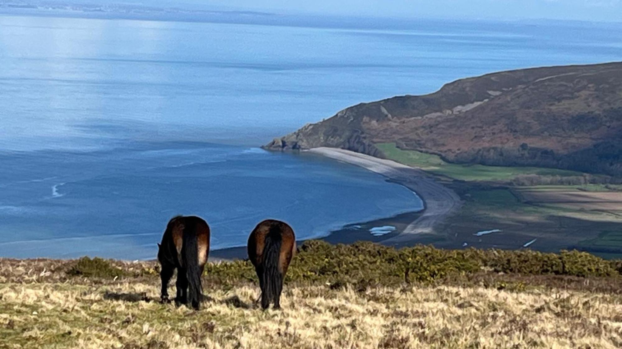 Exmoor Retreat On Two Moors Way Withypool Zewnętrze zdjęcie