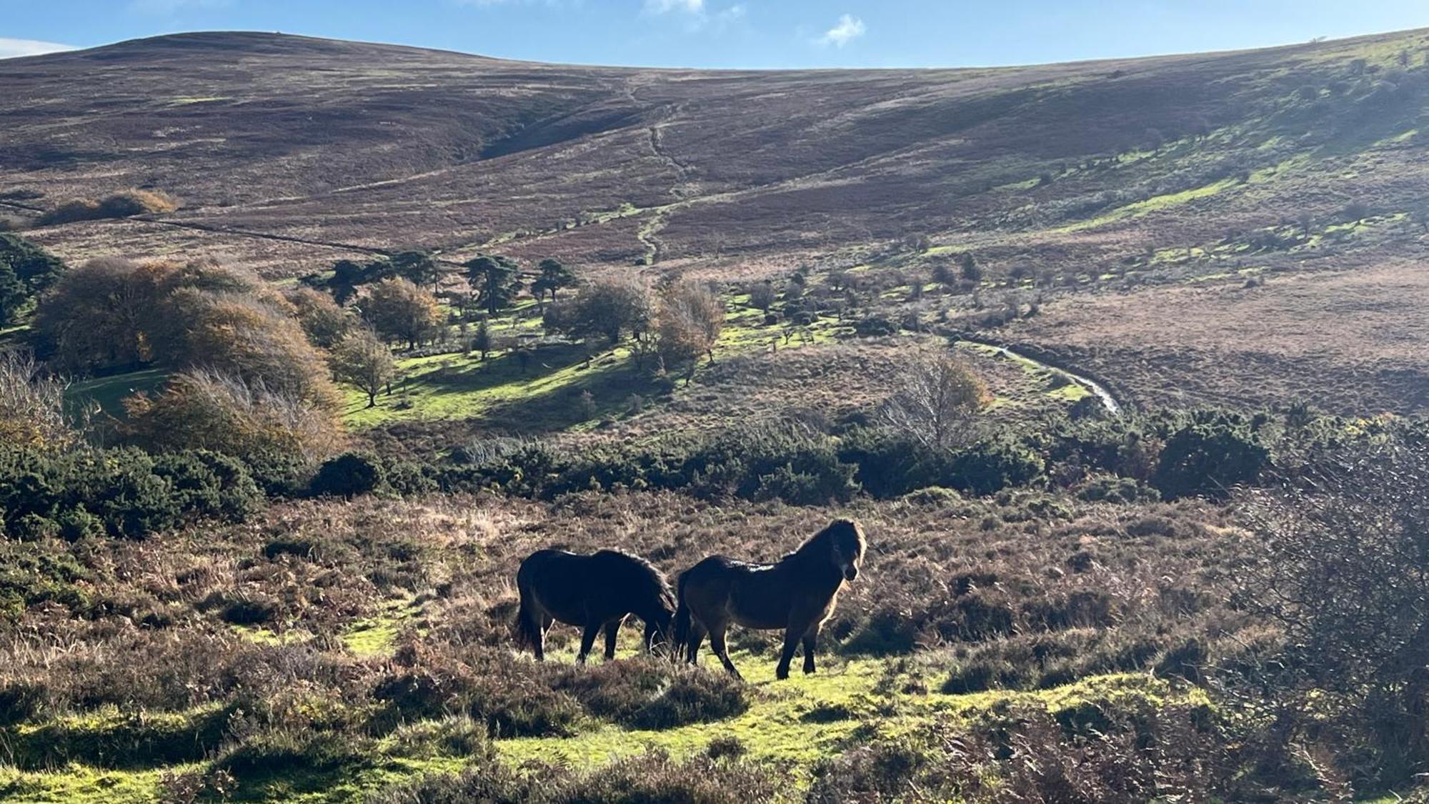 Exmoor Retreat On Two Moors Way Withypool Zewnętrze zdjęcie